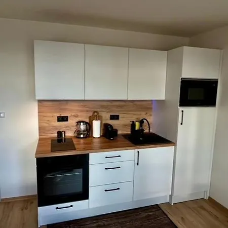 Newly Renovated Flat Next To Forest Park