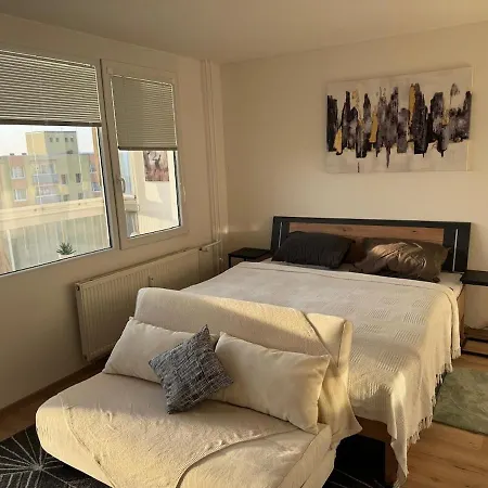 Newly Renovated Flat Next To Forest Park Apartment *