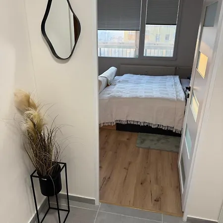Newly Renovated Flat Next To Forest Park Apartment