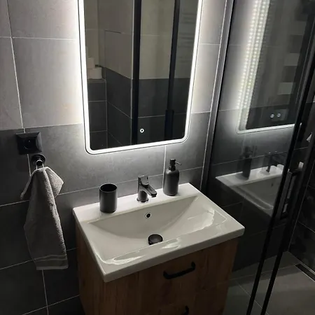 Apartment Newly Renovated Flat Next To Forest Park *