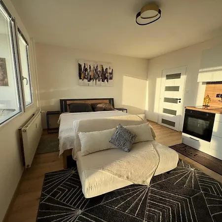 Apartment Newly Renovated Flat Next To Forest Park *